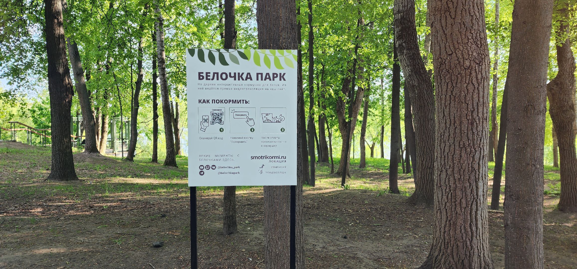 раменское, благоустройство, белочка-парк,