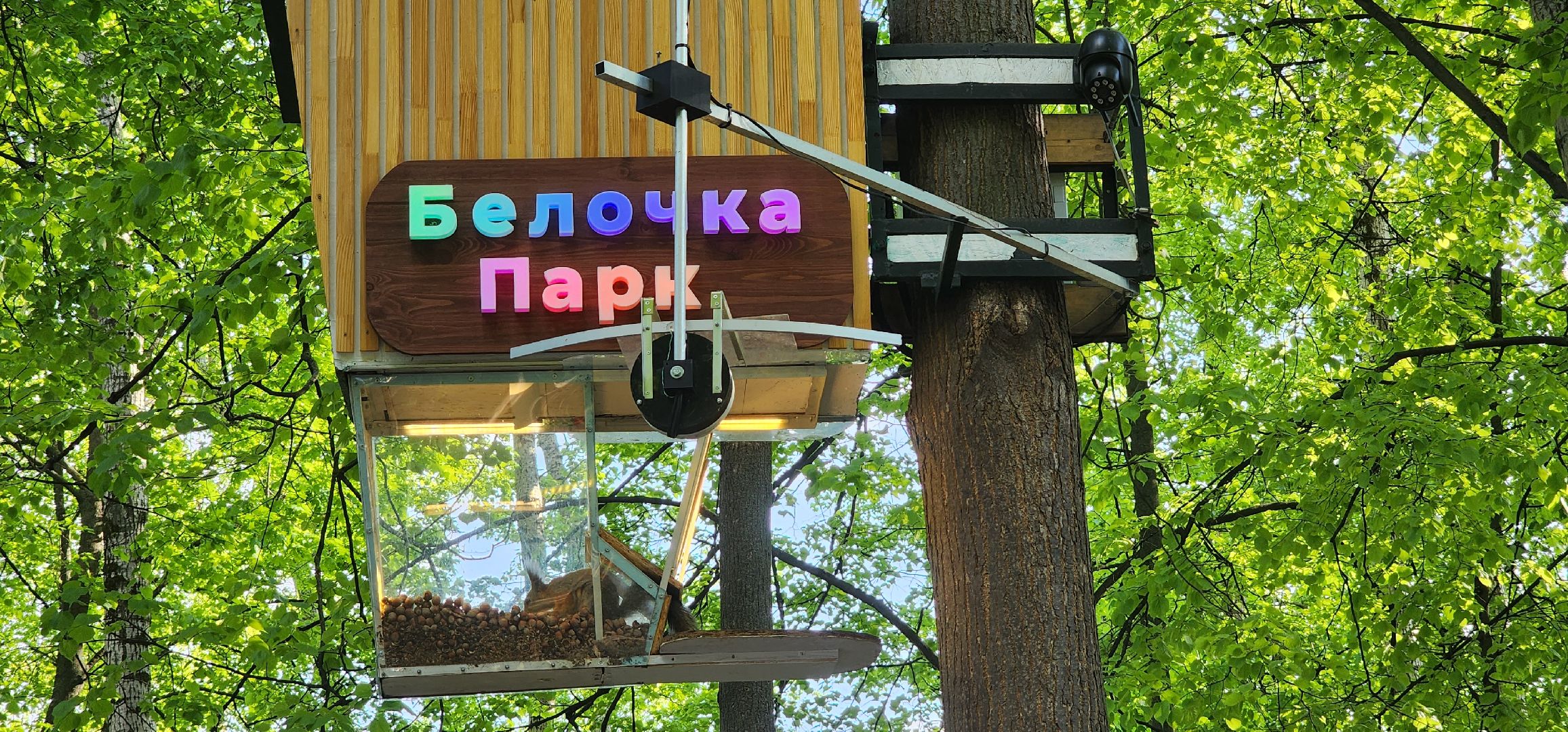 раменское, благоустройство, белочка-парк,