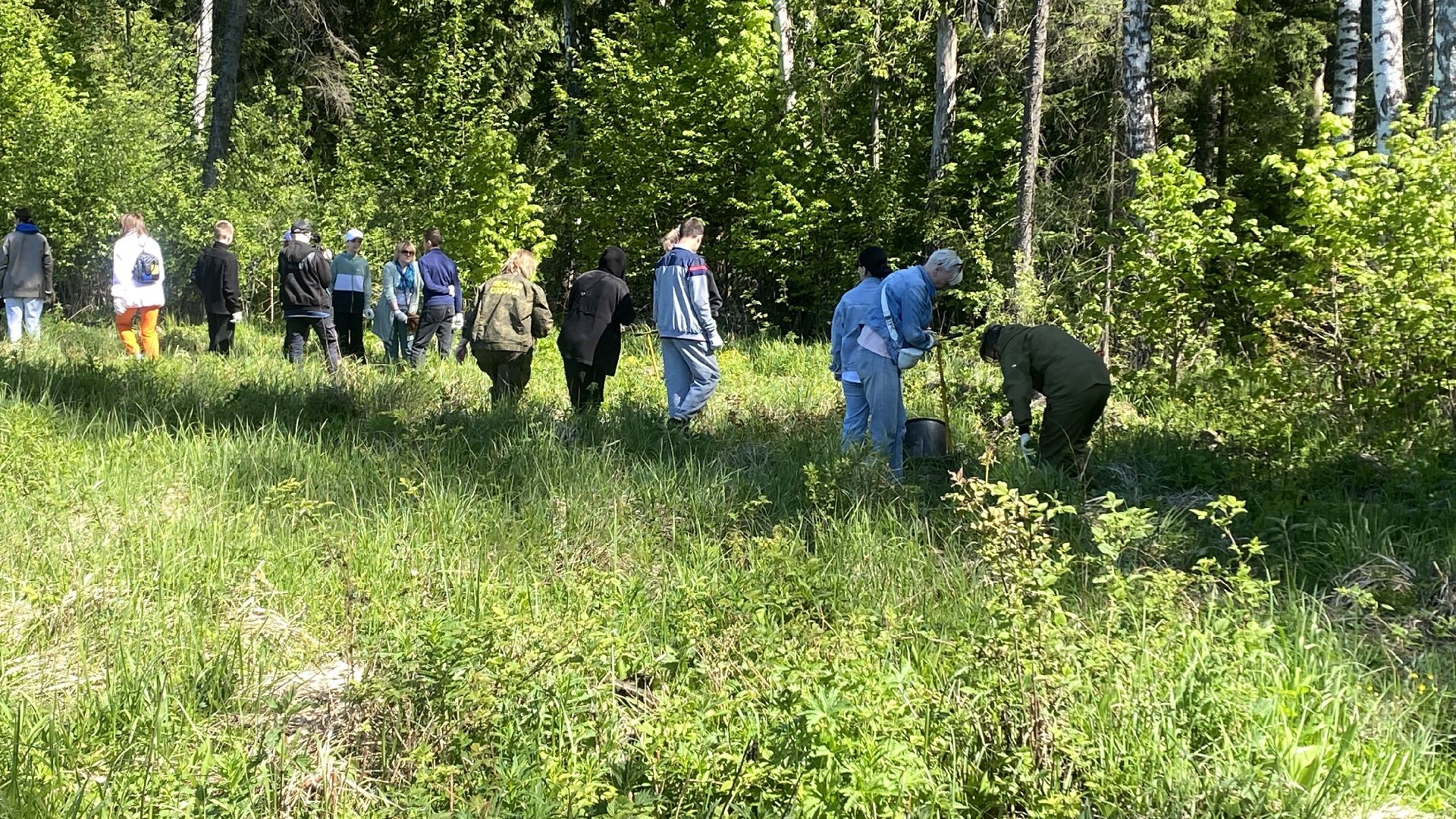 эколого-патриотической акции Лес будущего», акция Сад Памяти, посадка деревьев, лесфонд, мособллес,