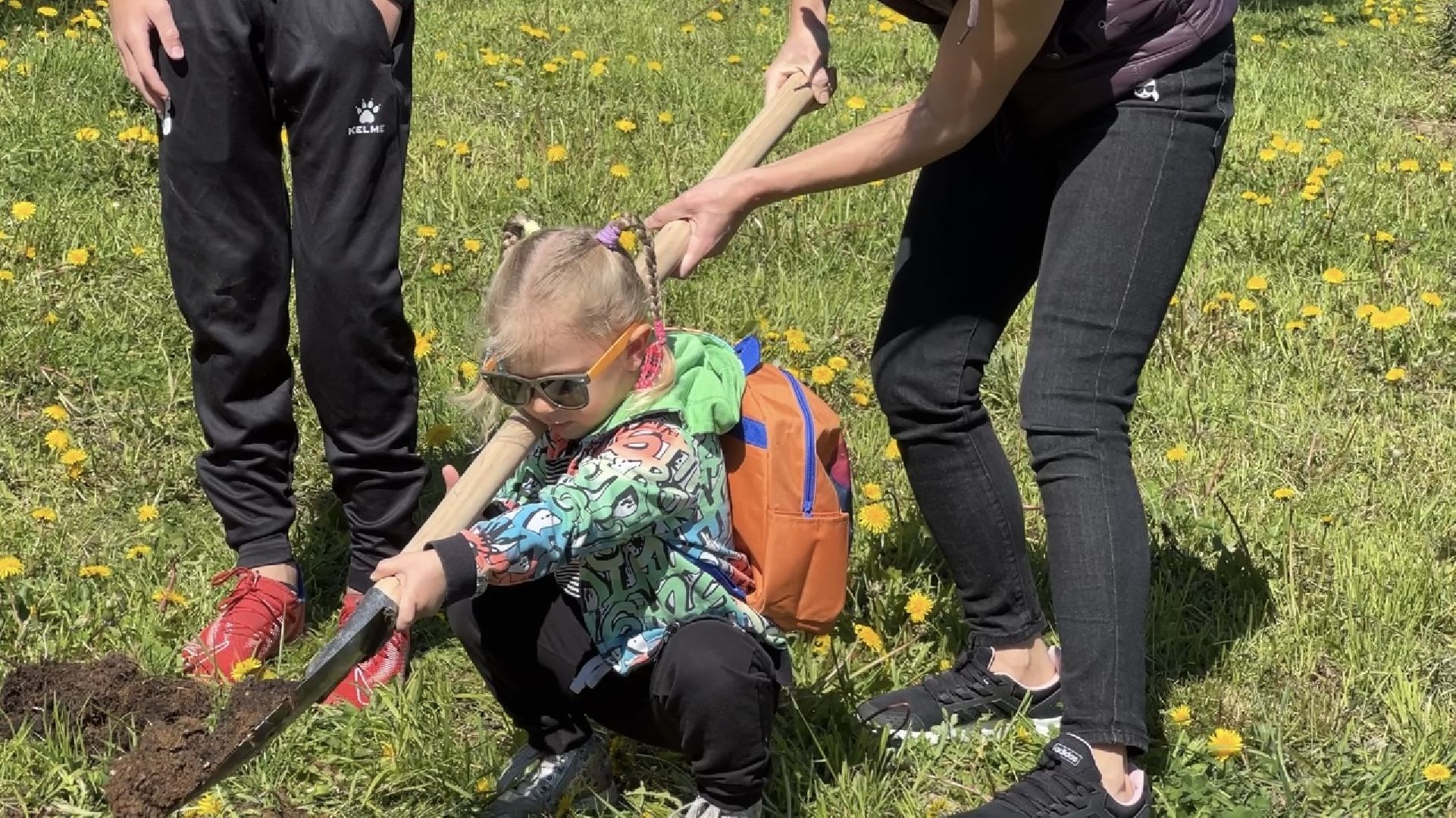 химки, благоустройство, лес будущего, высадка деревьев,