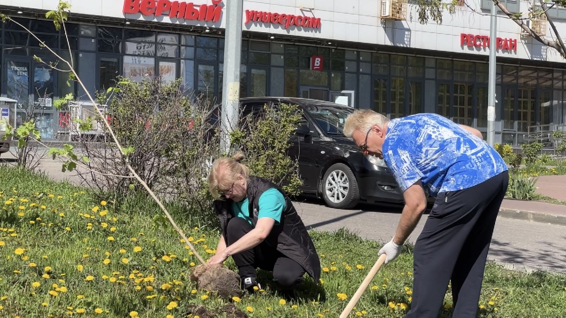 химки, благоустройство, лес будущего, высадка деревьев,