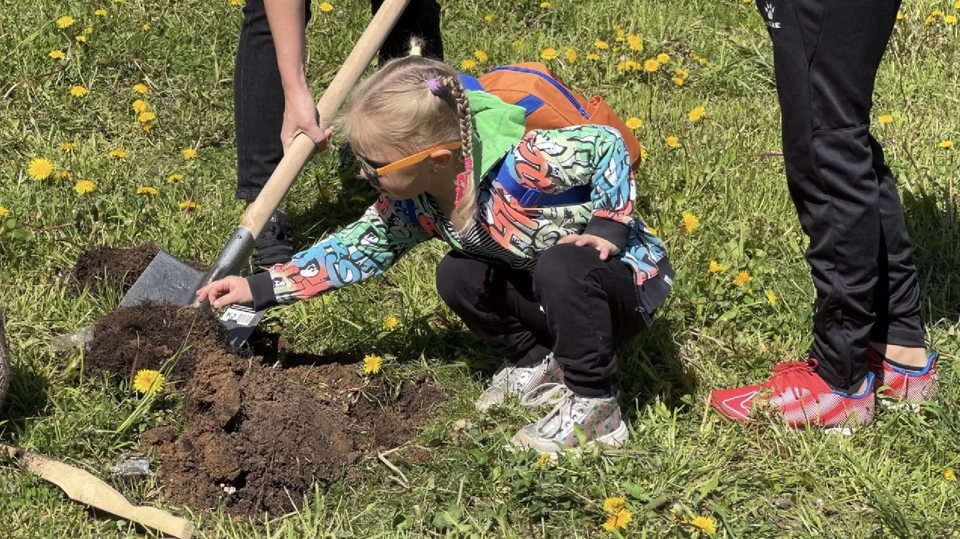 химки, благоустройство, лес будущего, высадка деревьев,