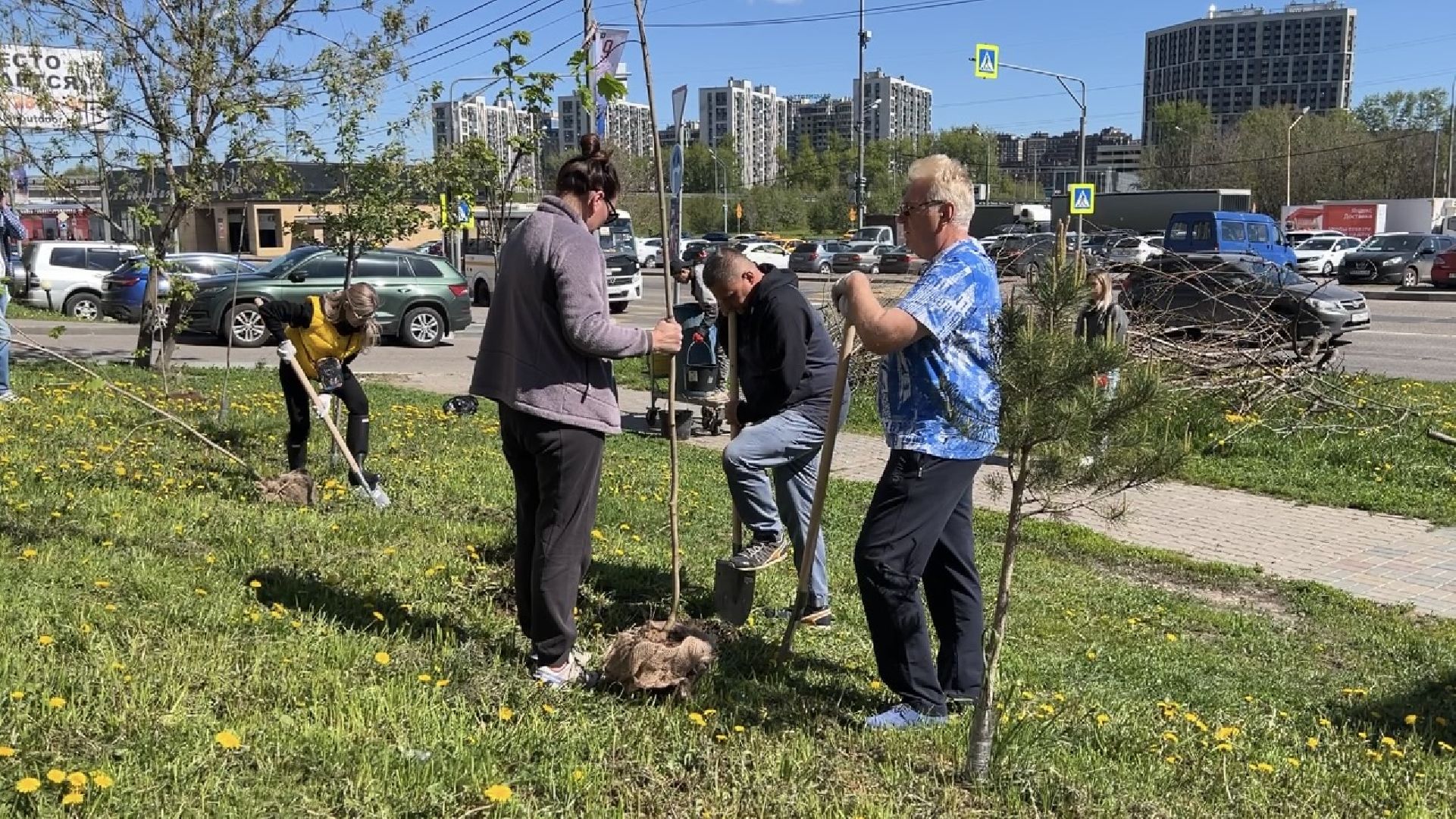 химки, благоустройство, лес будущего, высадка деревьев,