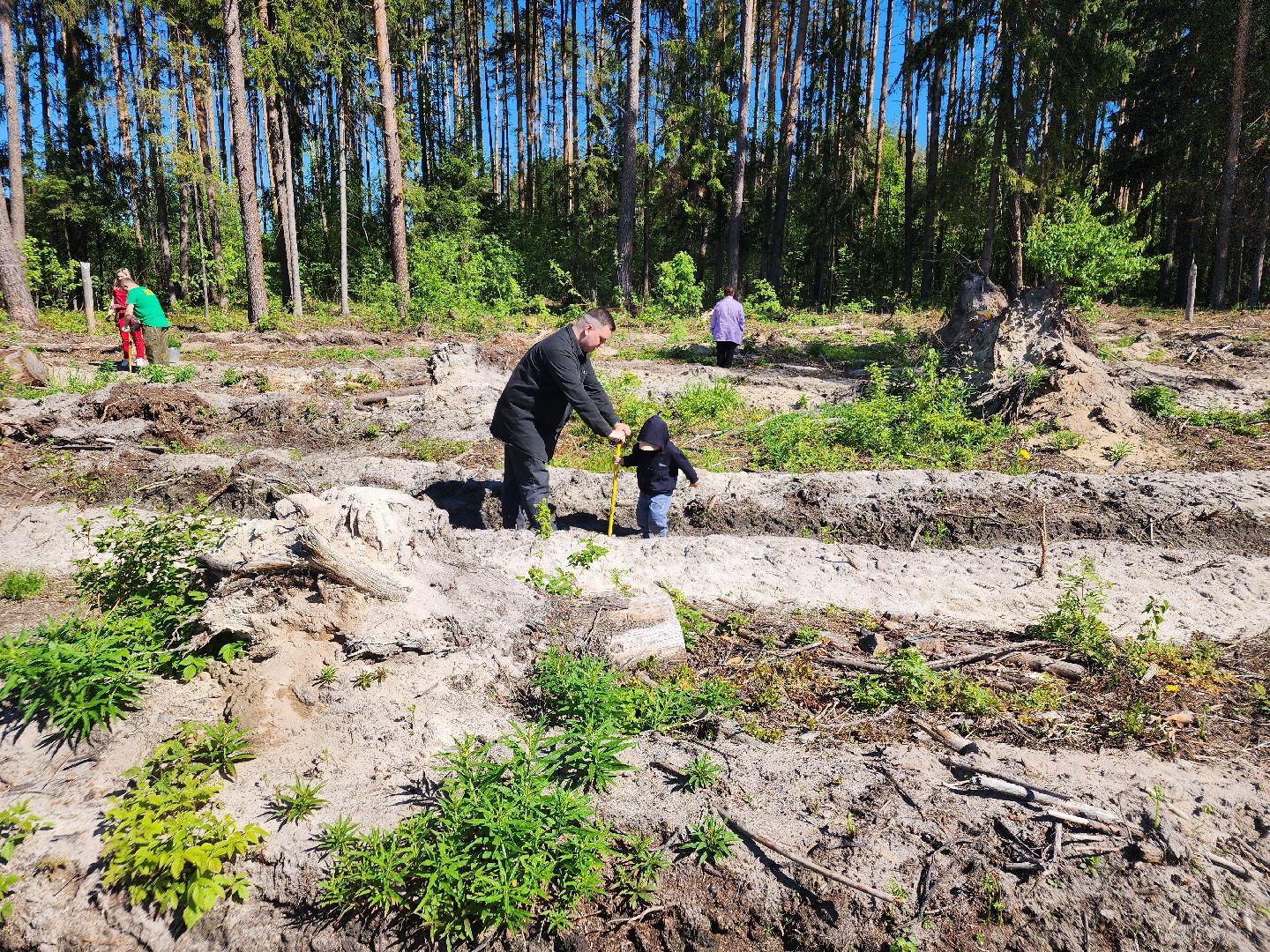 посадка леса, лес будущего, орехово-зуевский округ,