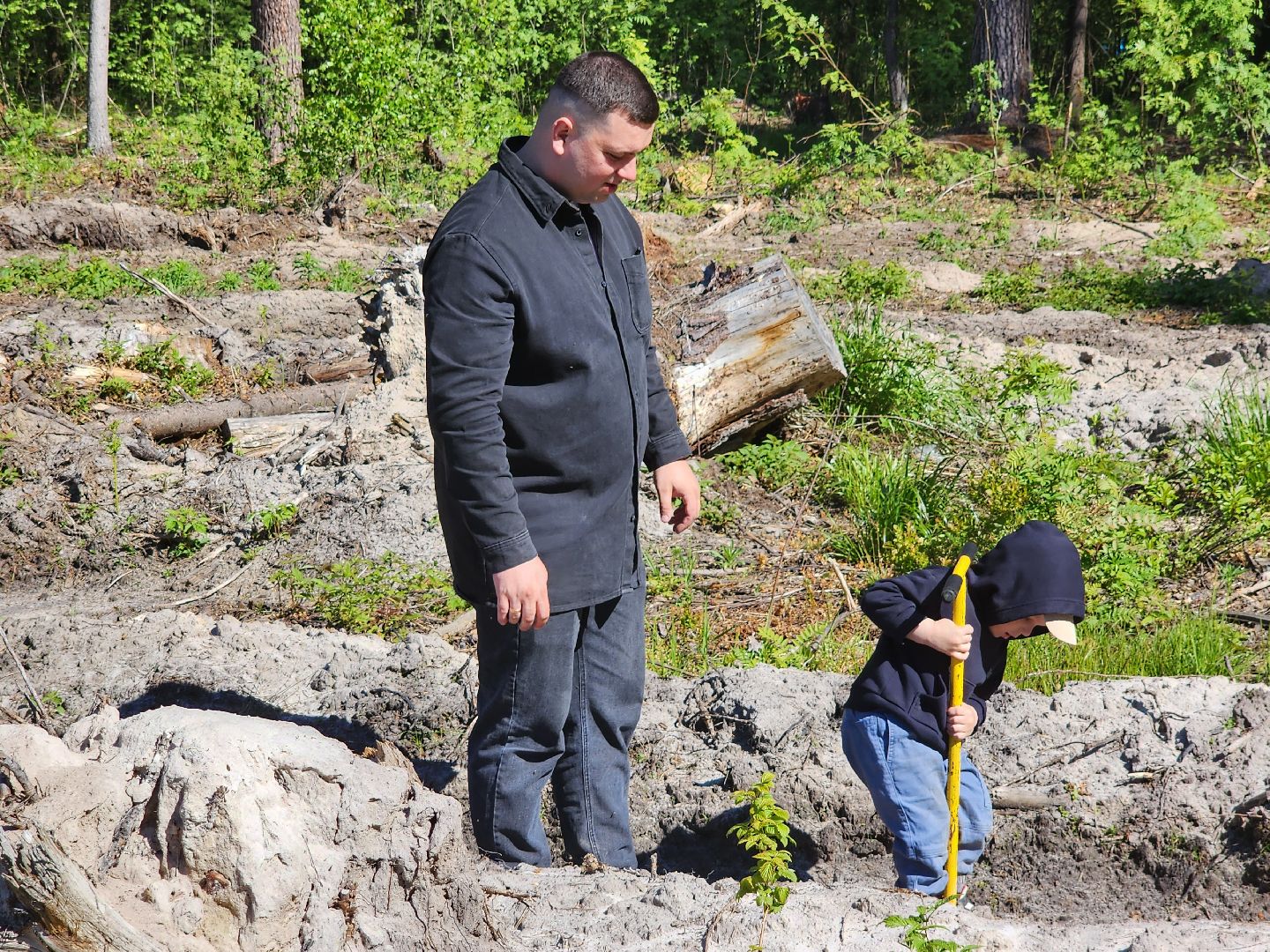 посадка леса, лес будущего, орехово-зуевский округ,