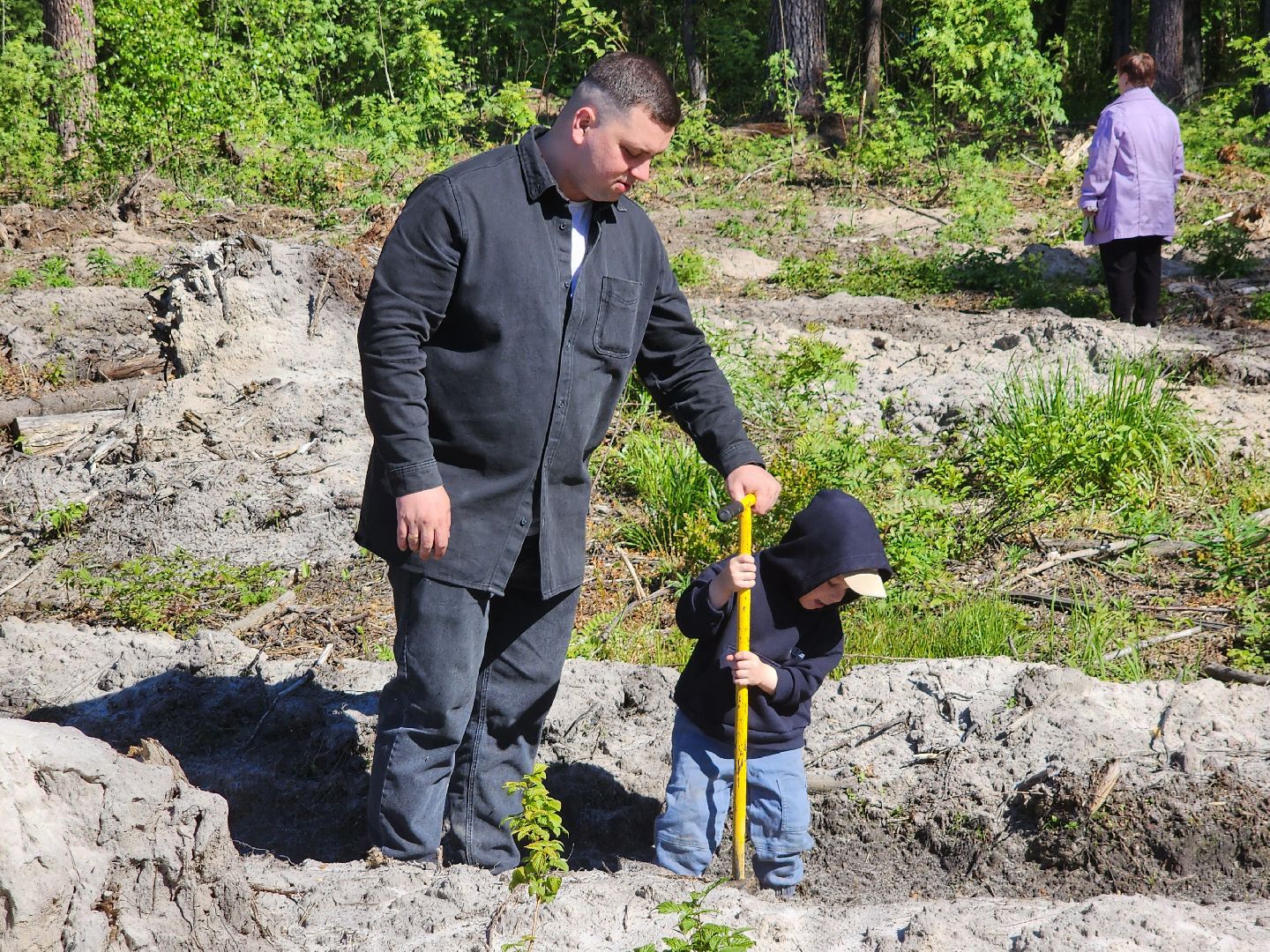 посадка леса, лес будущего, орехово-зуевский округ,