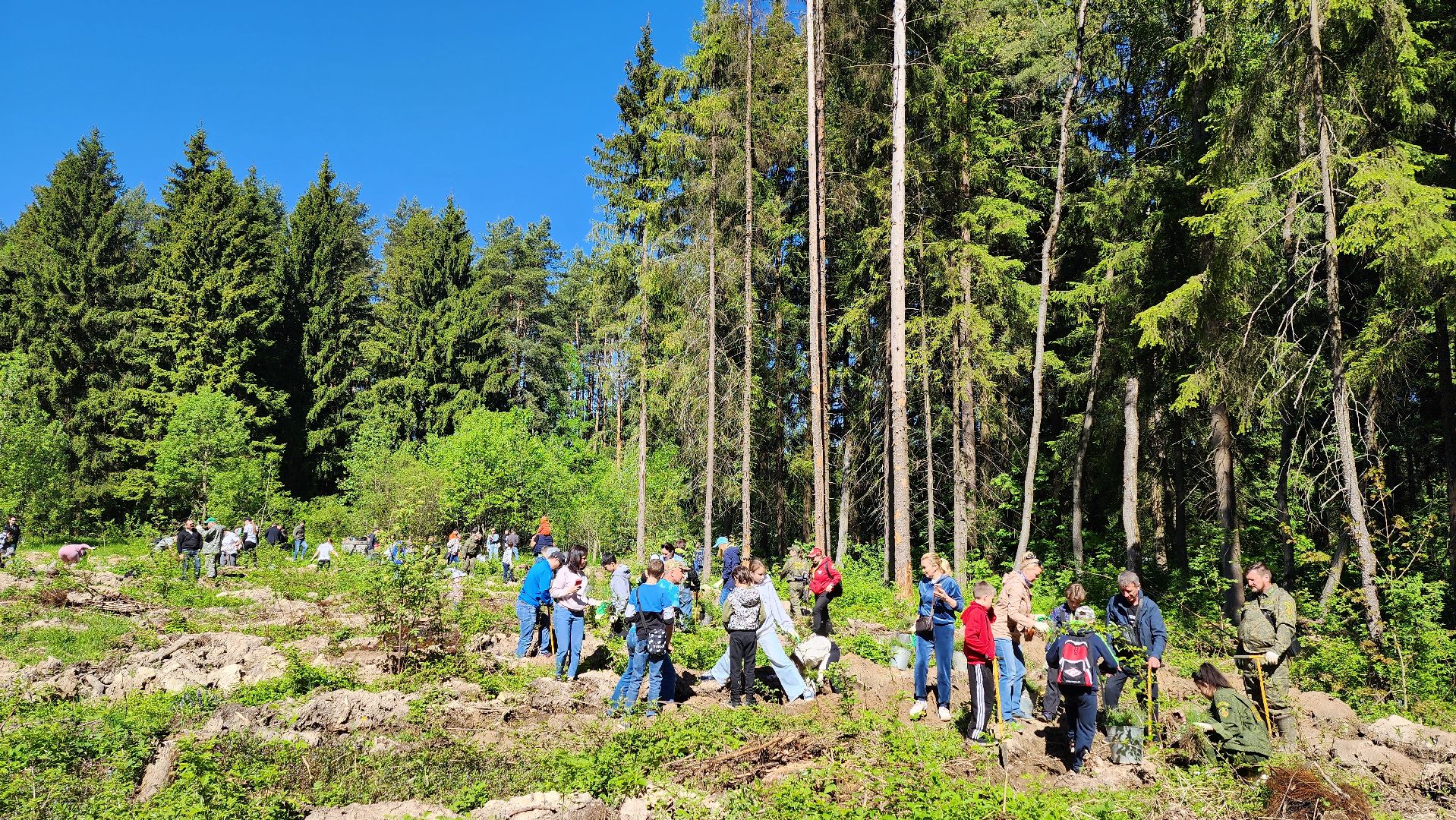 Одинцово, кубинка, лес, экология,