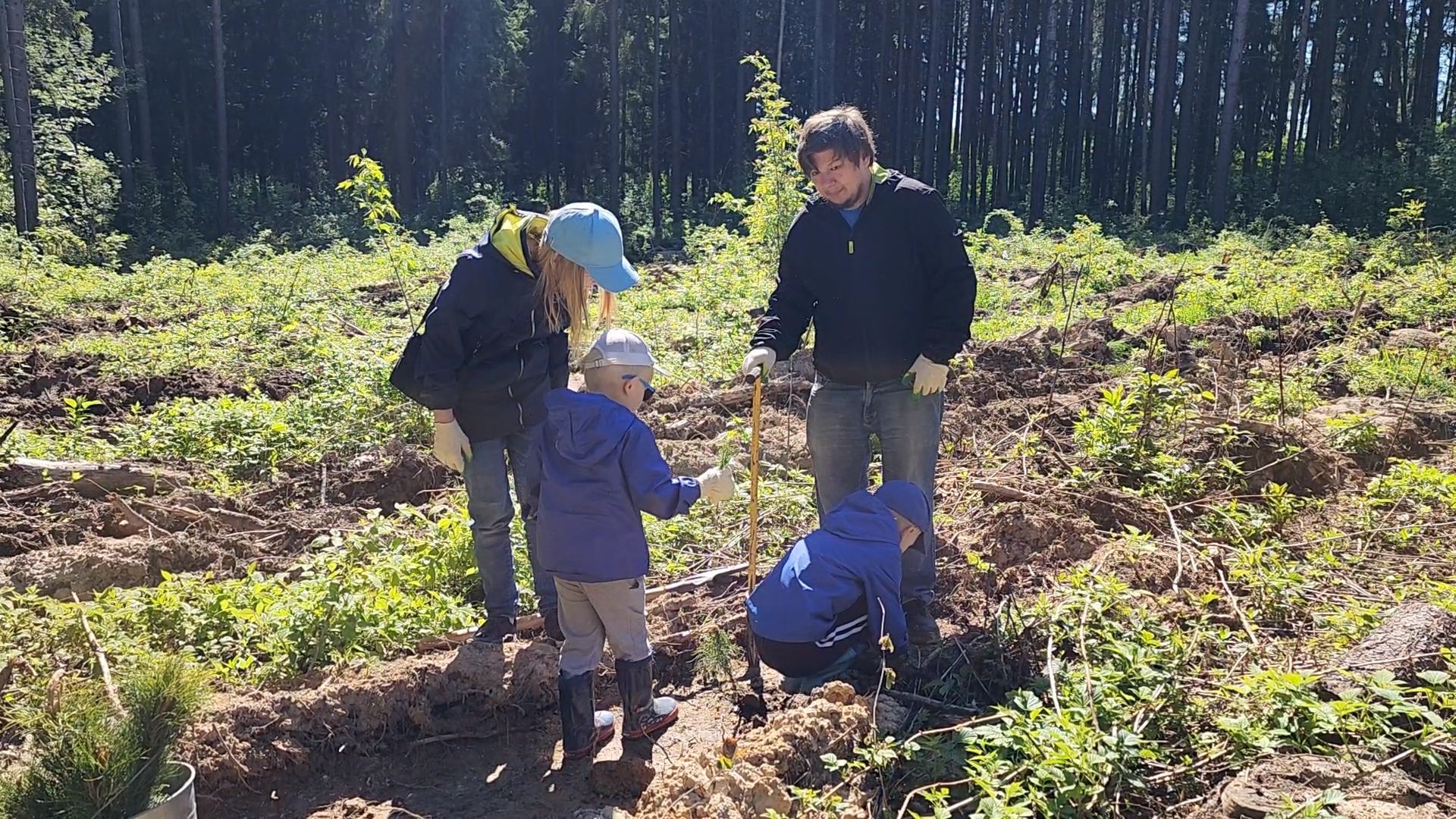 Одинцово, кубинка, лес, экология,