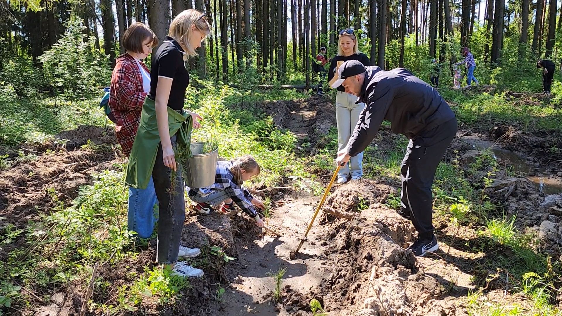 Одинцово, кубинка, лес, экология,