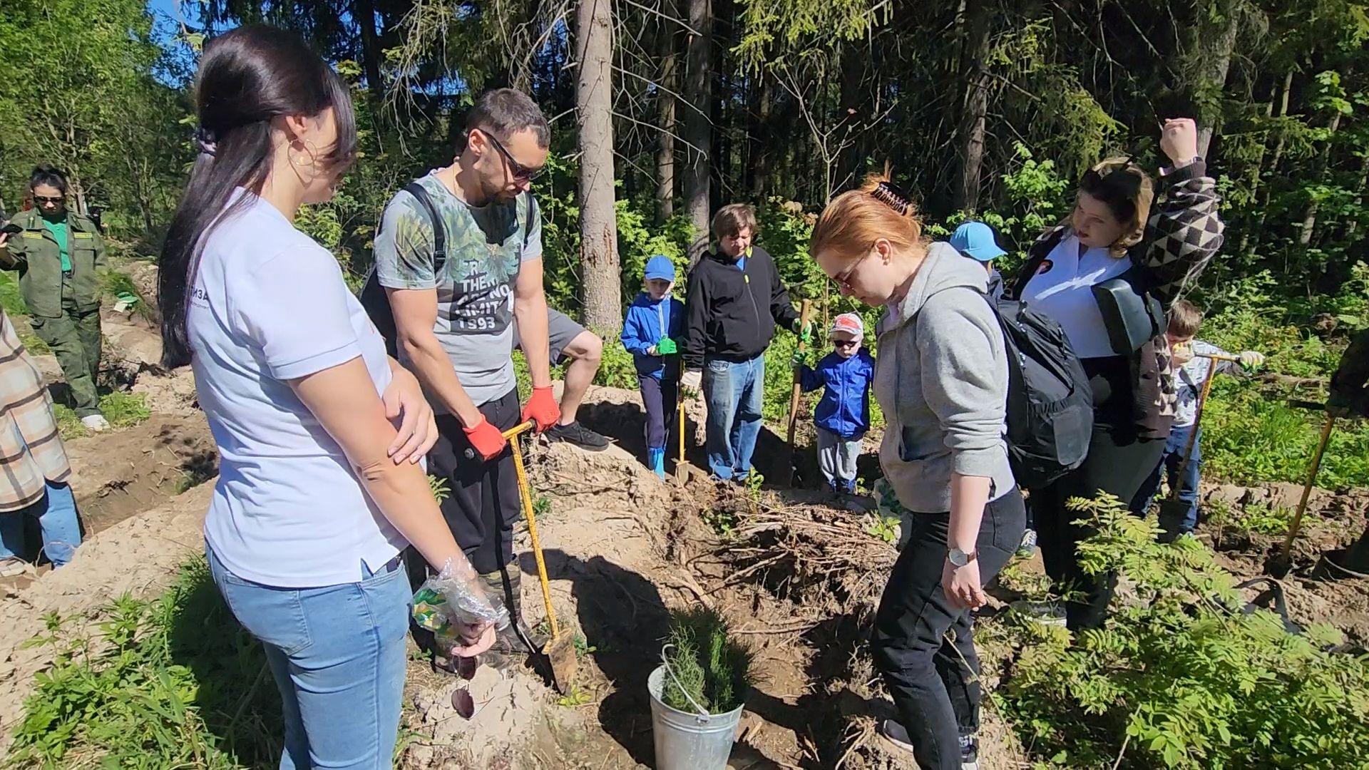 Одинцово, кубинка, лес, экология,