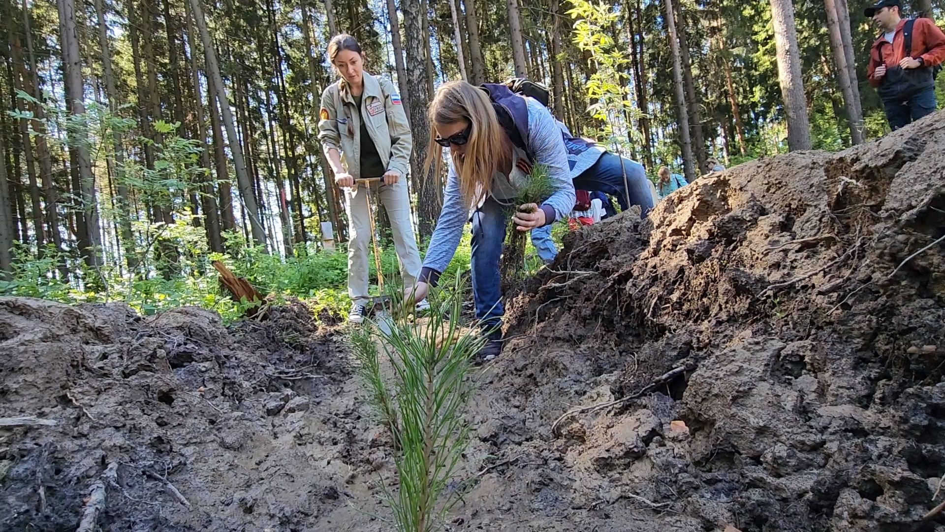 Одинцово, кубинка, лес, экология,