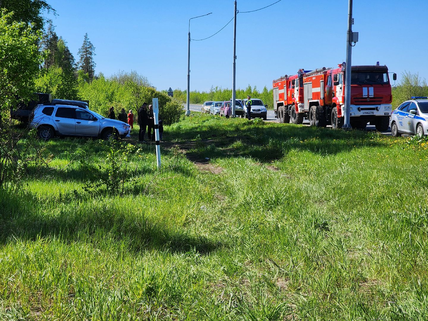 Лесовосстановление, орехово-зуевский округ,посадка леса,