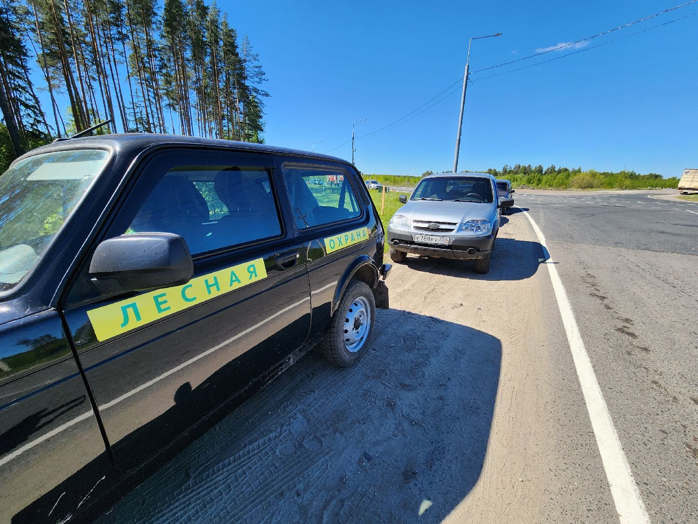 Лесовосстановление, орехово-зуевский округ,посадка леса,
