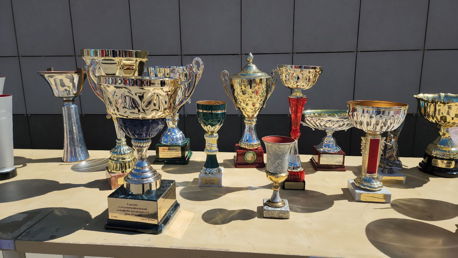 Награды, Кубки, Спорт, Лобня, Достижения,