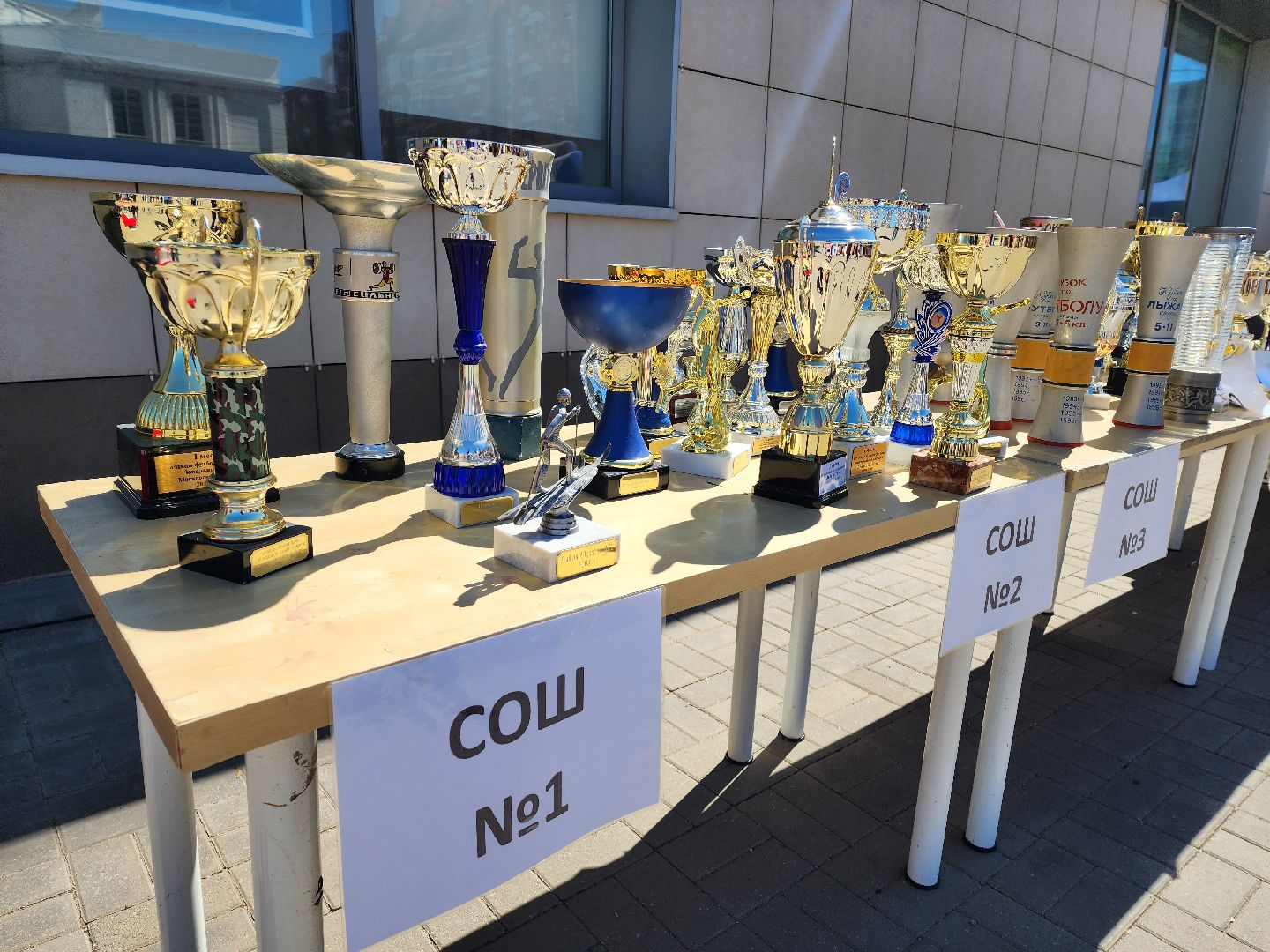 Награды, Кубки, Спорт, Лобня, Достижения,