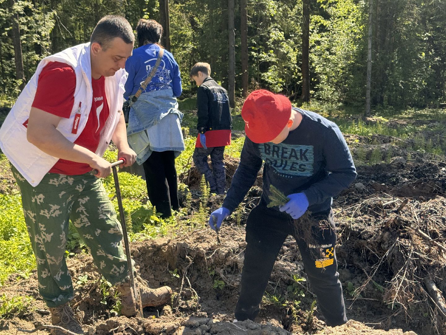 шаховская, школьное лесничество, лес будущего,