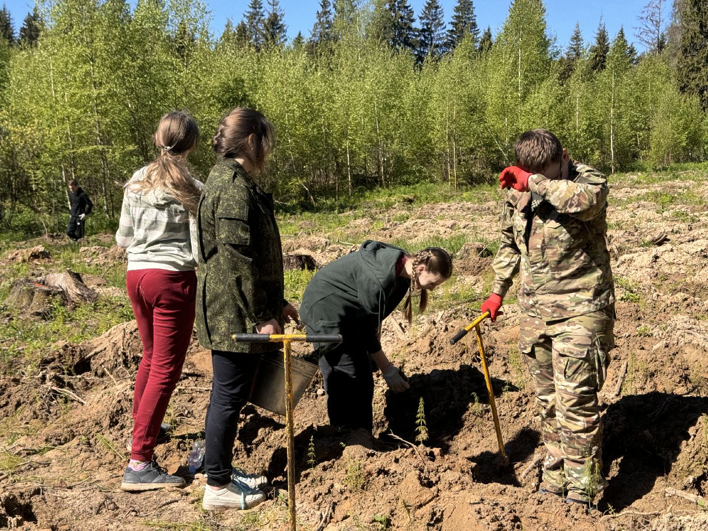 шаховская, школьное лесничество, лес будущего,