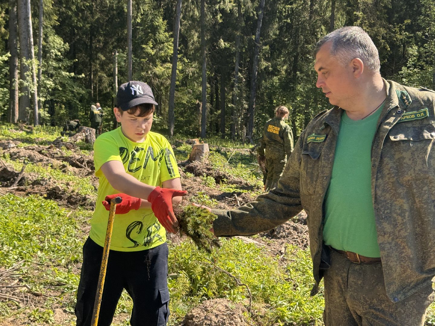 шаховская, школьное лесничество, лес будущего,