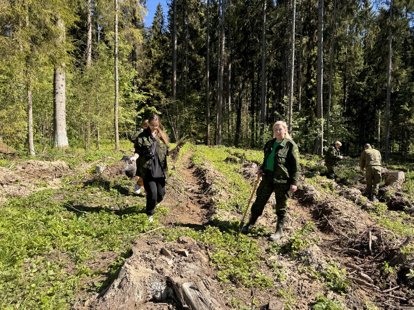 шаховская, школьное лесничество, лес будущего,