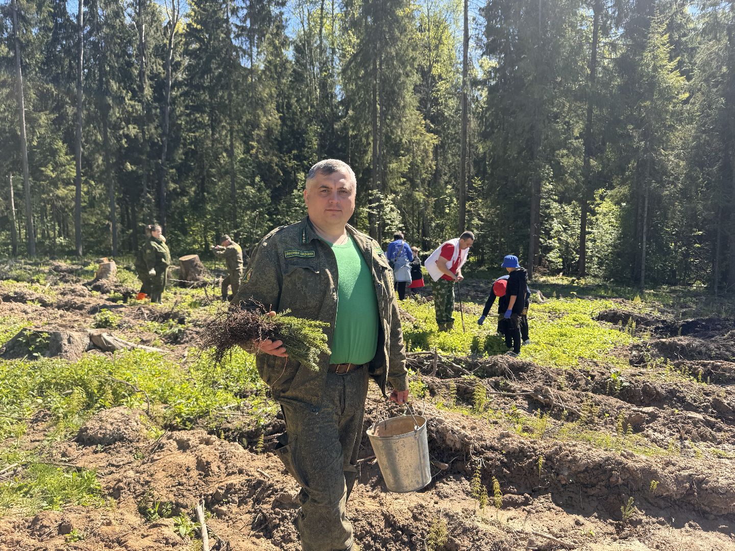 шаховская, школьное лесничество, лес будущего,
