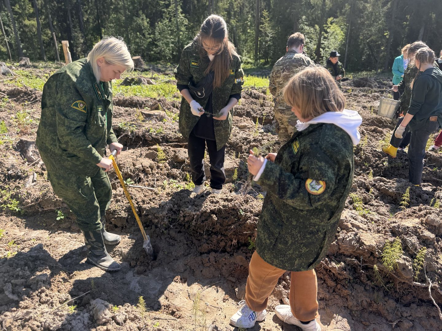 шаховская, школьное лесничество, лес будущего,