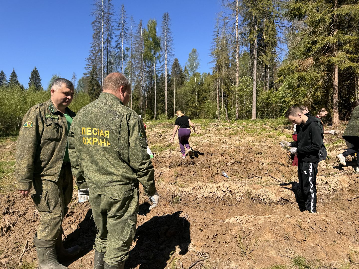 шаховская, школьное лесничество, лес будущего,