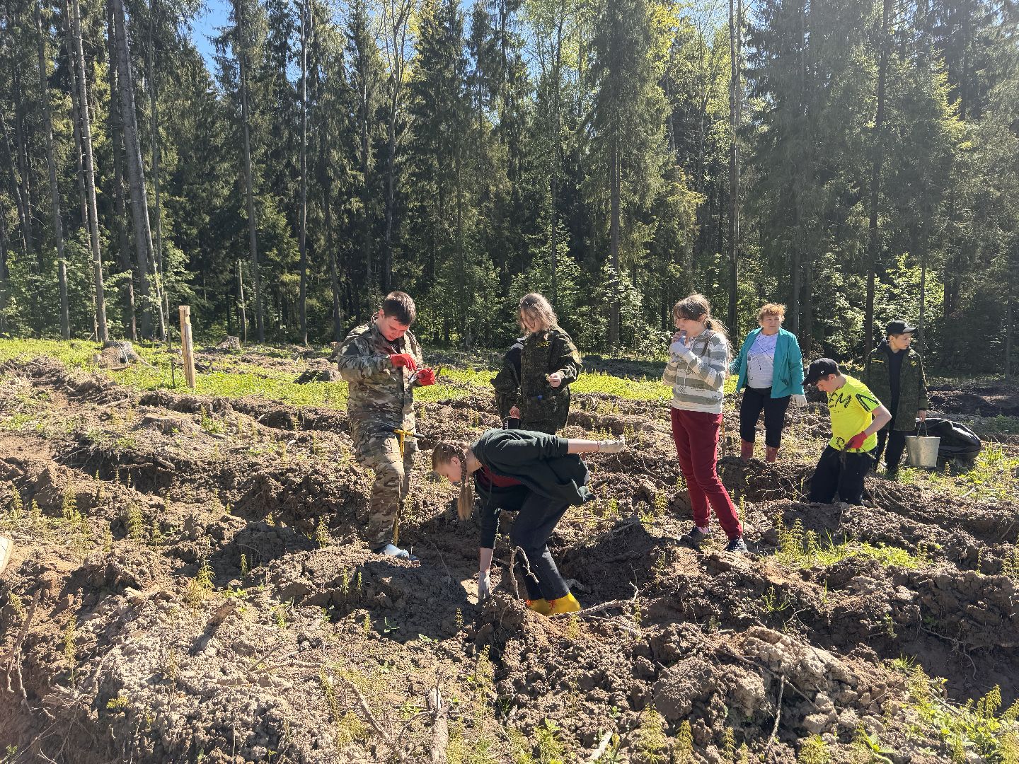 шаховская, школьное лесничество, лес будущего,