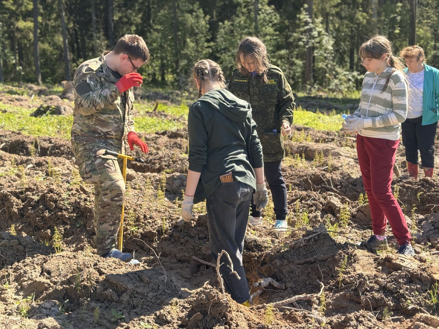 шаховская, школьное лесничество, лес будущего,