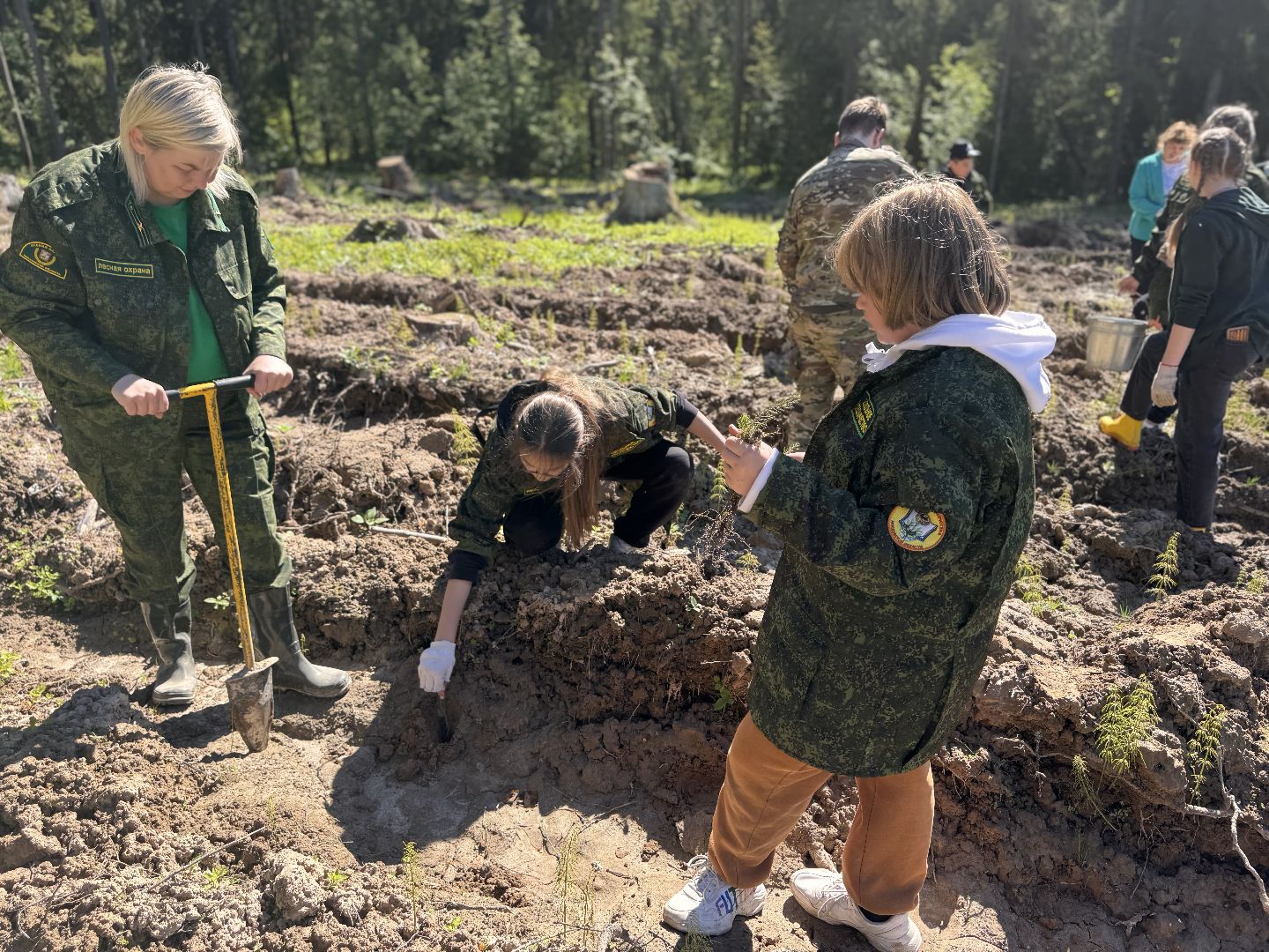 шаховская, школьное лесничество, лес будущего,