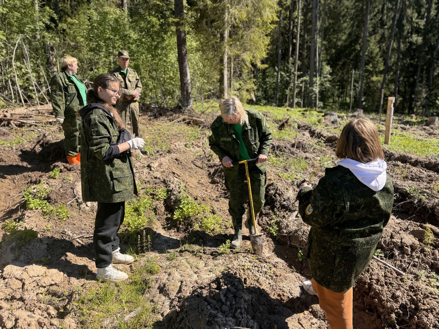 шаховская, школьное лесничество, лес будущего,