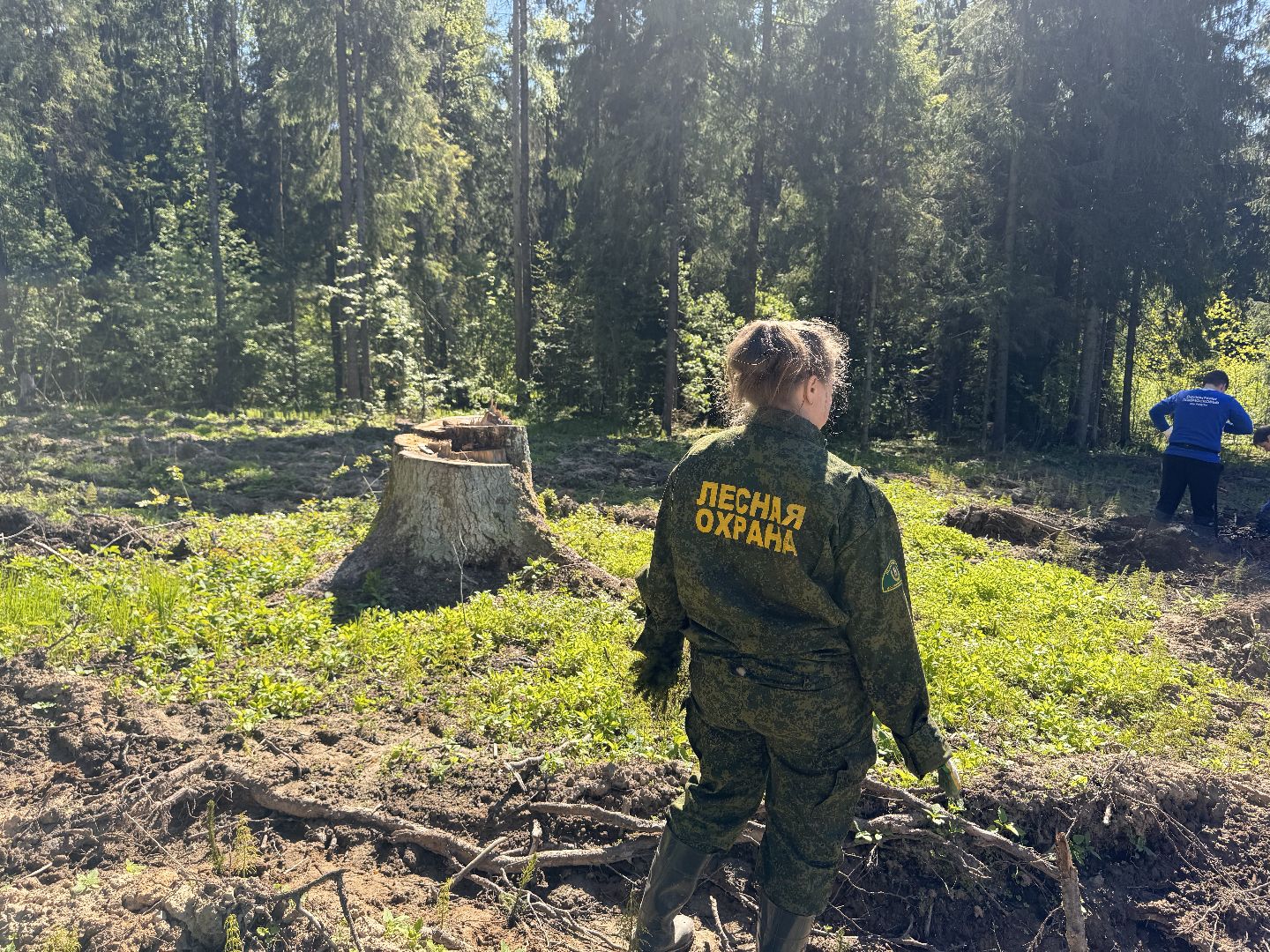 шаховская, школьное лесничество, лес будущего,