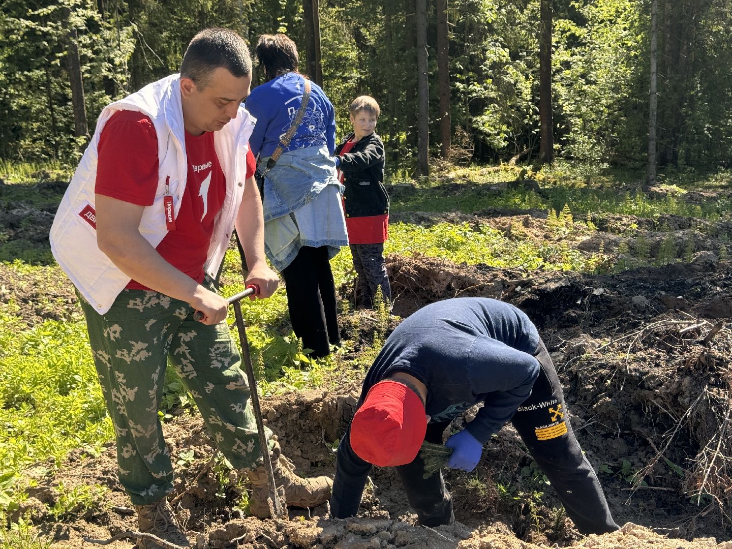 шаховская, школьное лесничество, лес будущего,