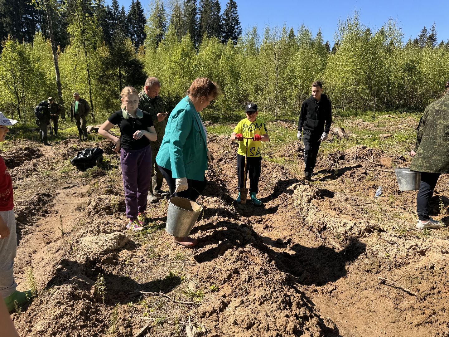 шаховская, школьное лесничество, лес будущего,