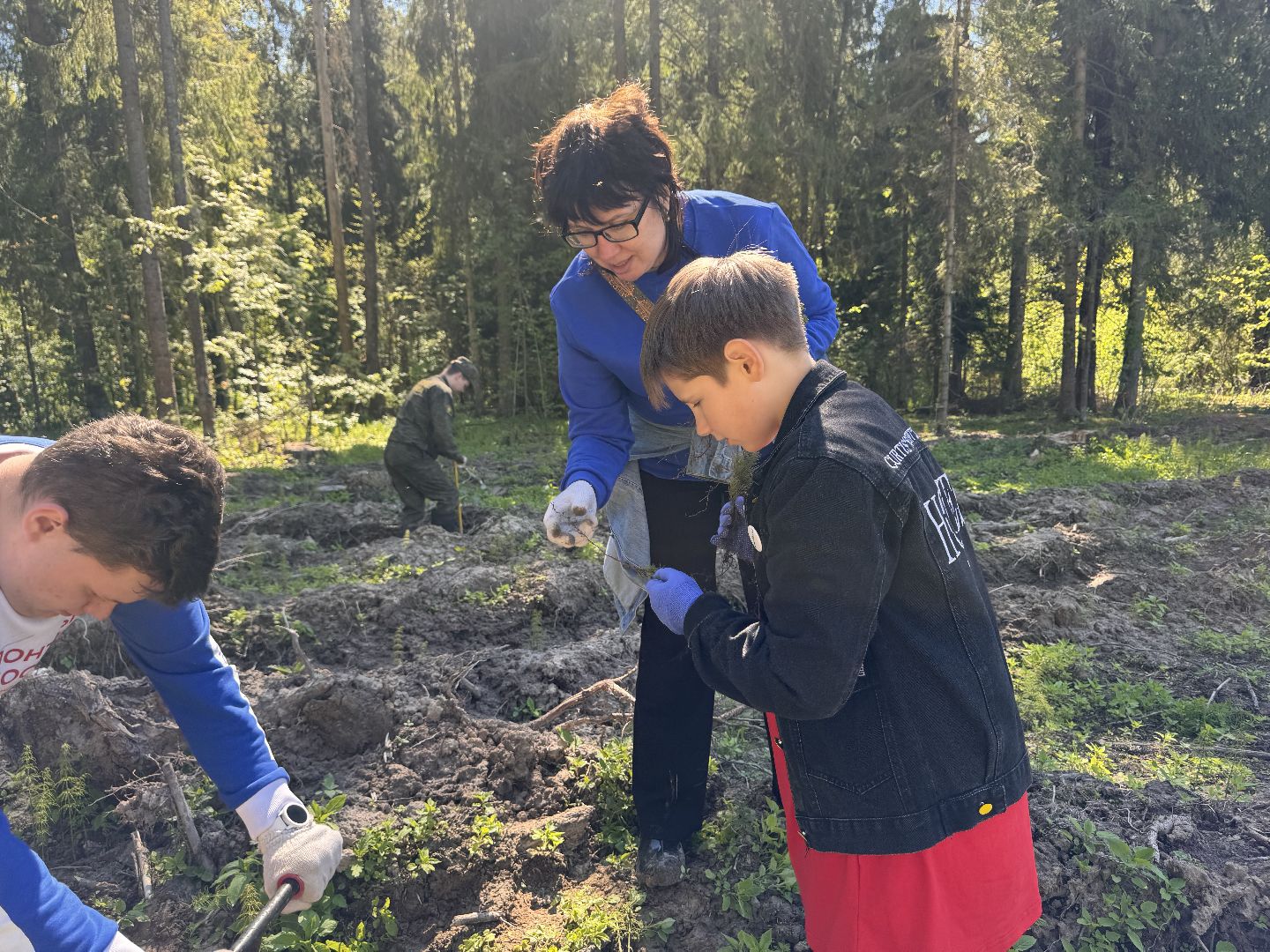 шаховская, школьное лесничество, лес будущего,