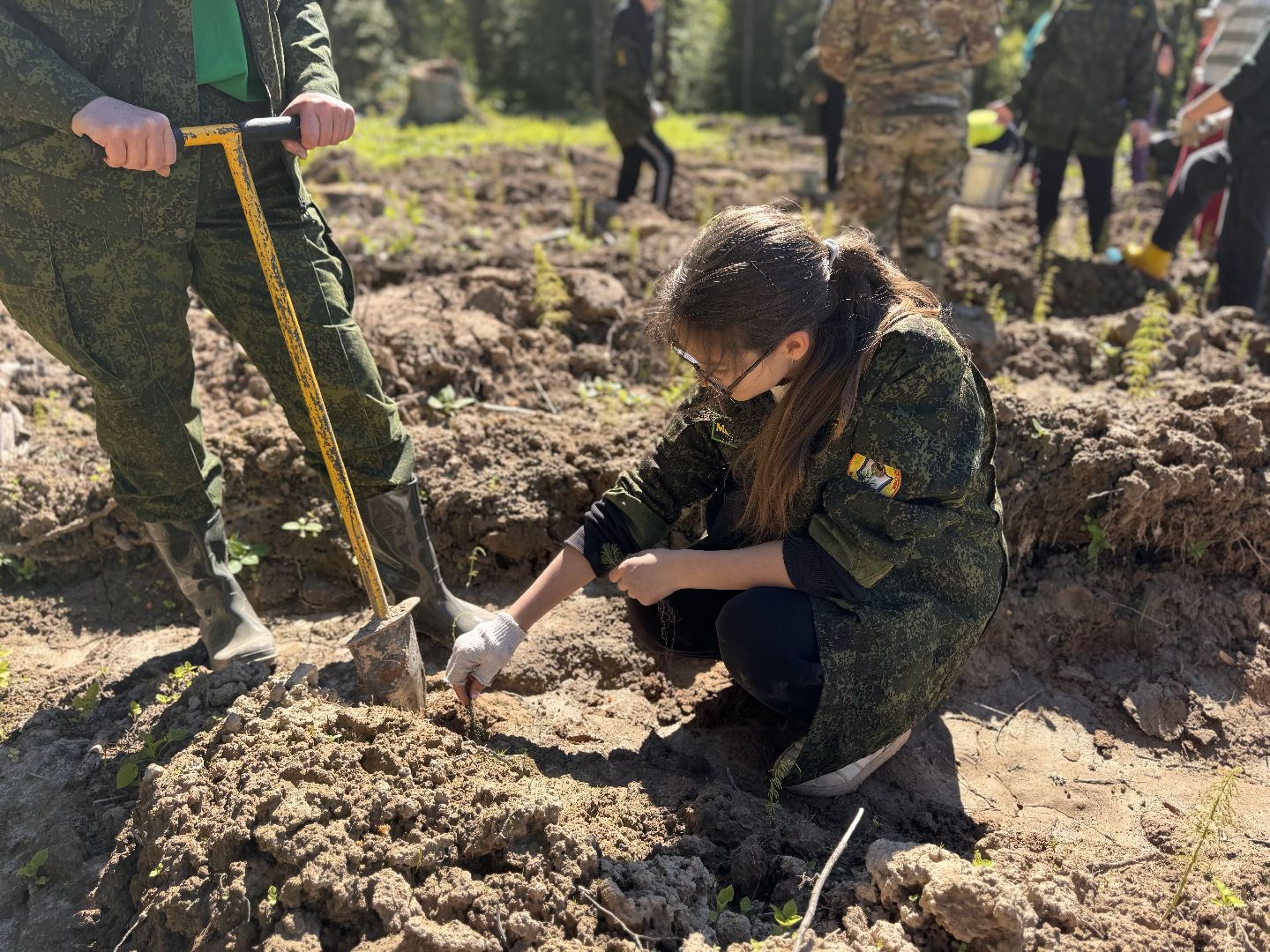 шаховская, школьное лесничество, лес будущего,