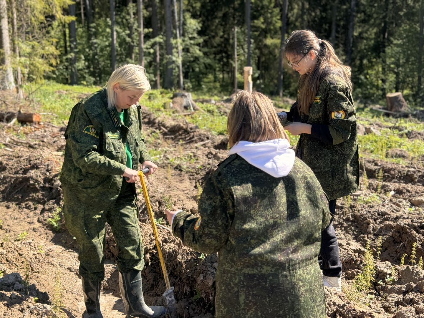шаховская, школьное лесничество, лес будущего,