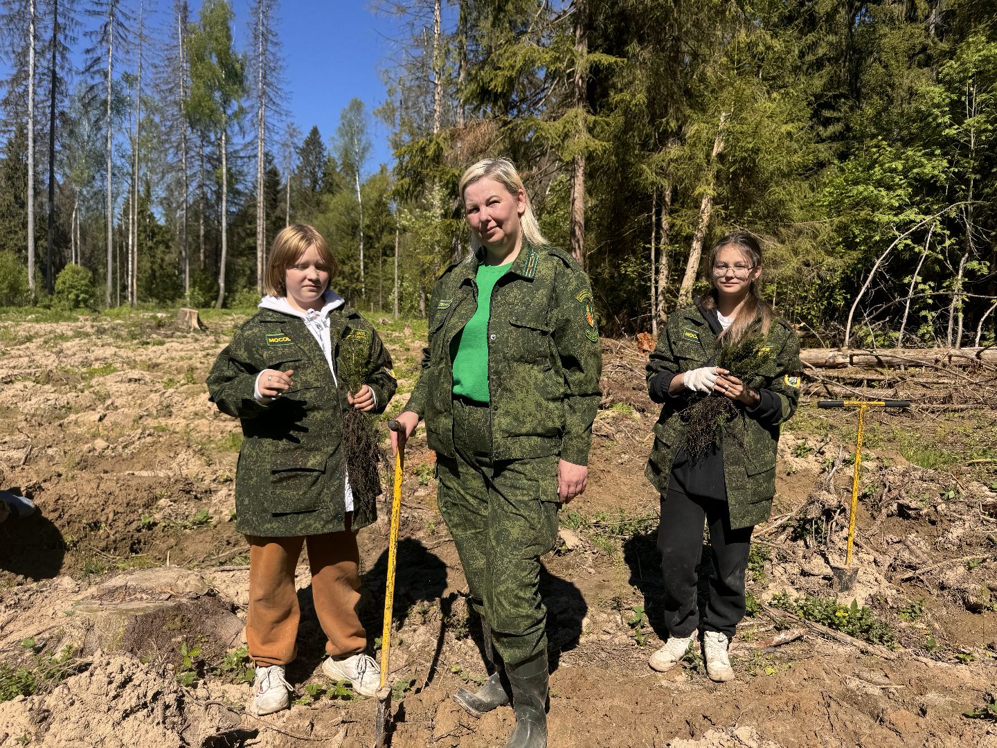 шаховская, школьное лесничество, лес будущего,