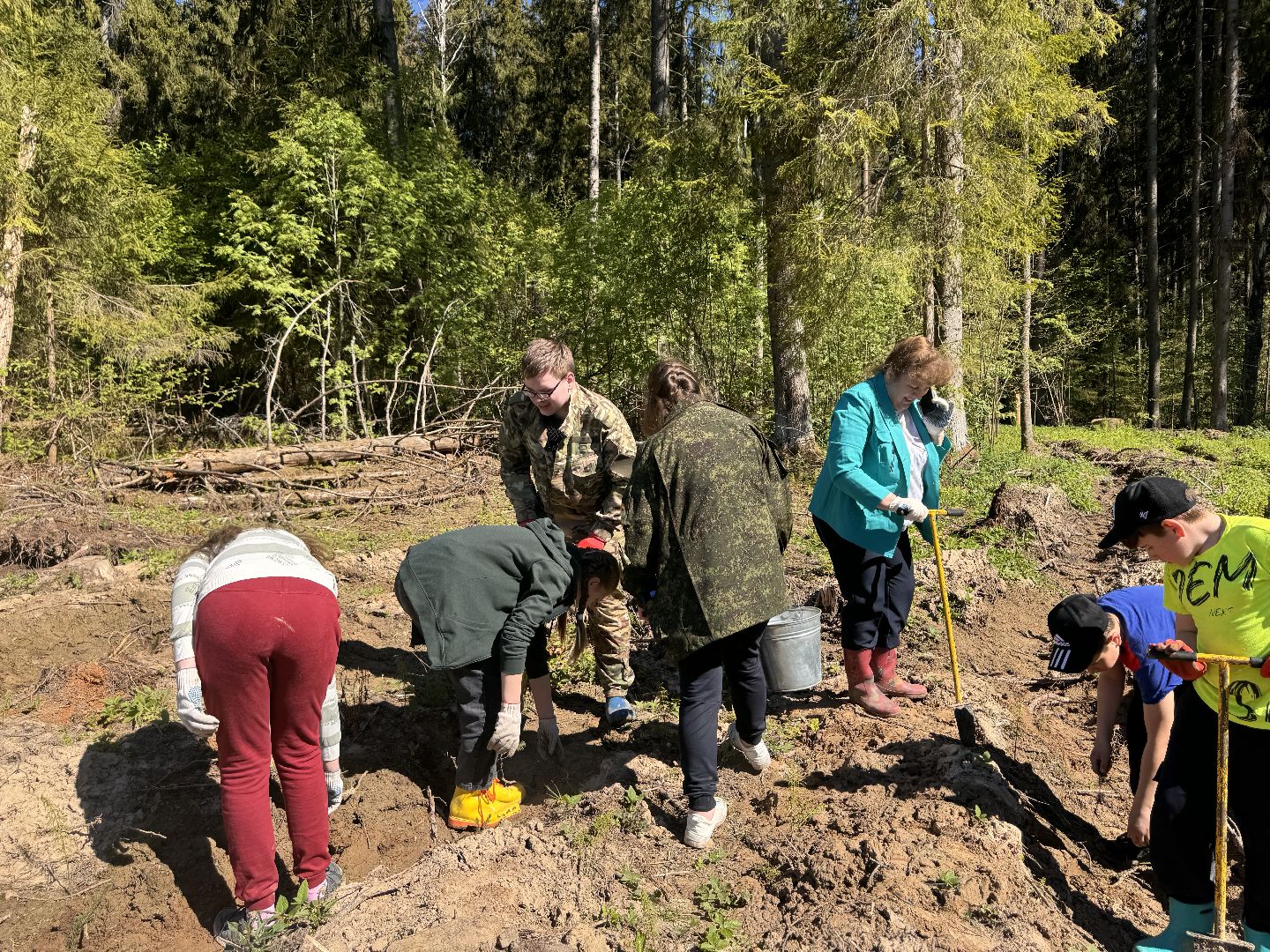 шаховская, школьное лесничество, лес будущего,