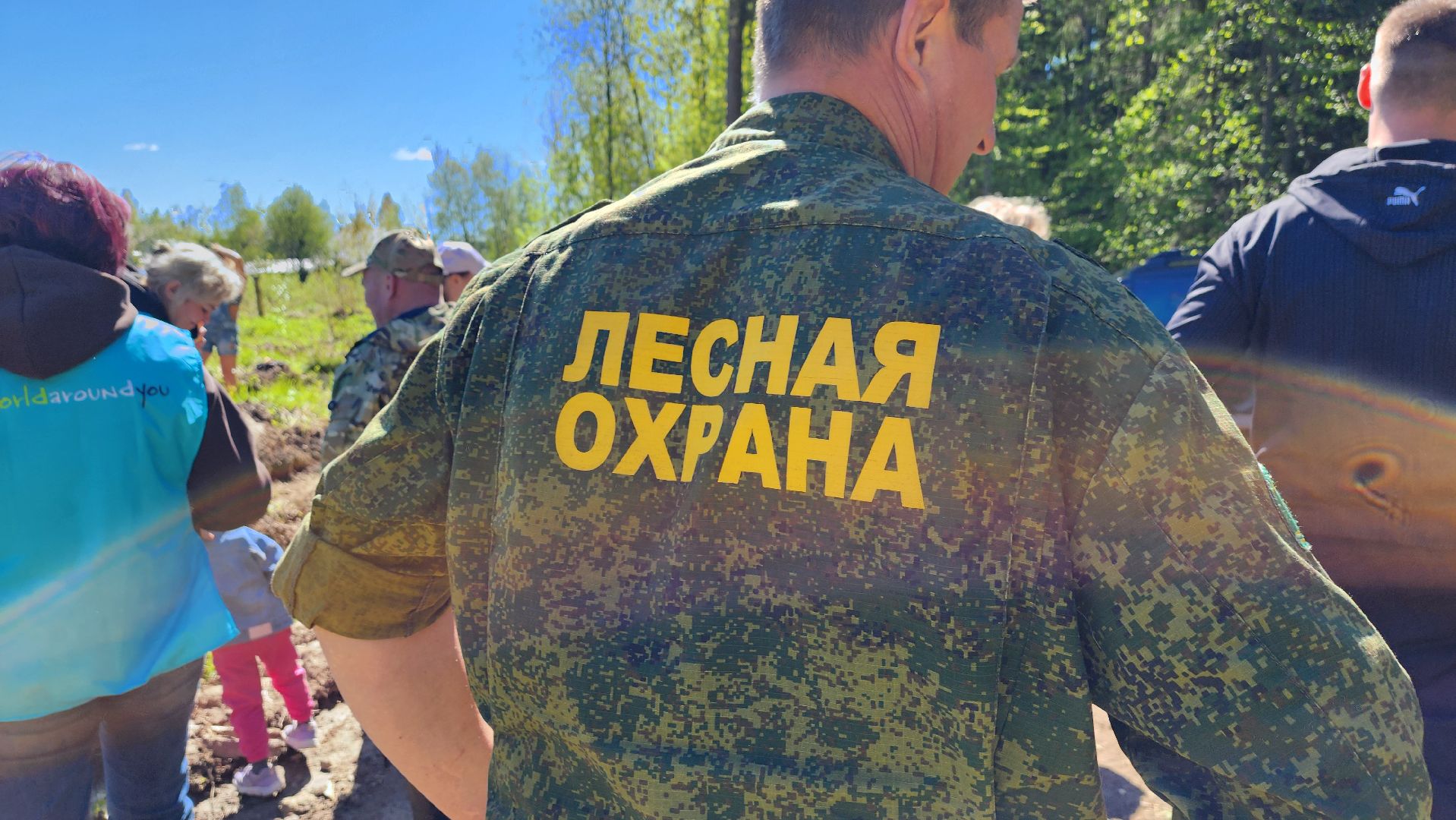 Солнечногорск, экология, лес, лес будущего, Комлесхоз,