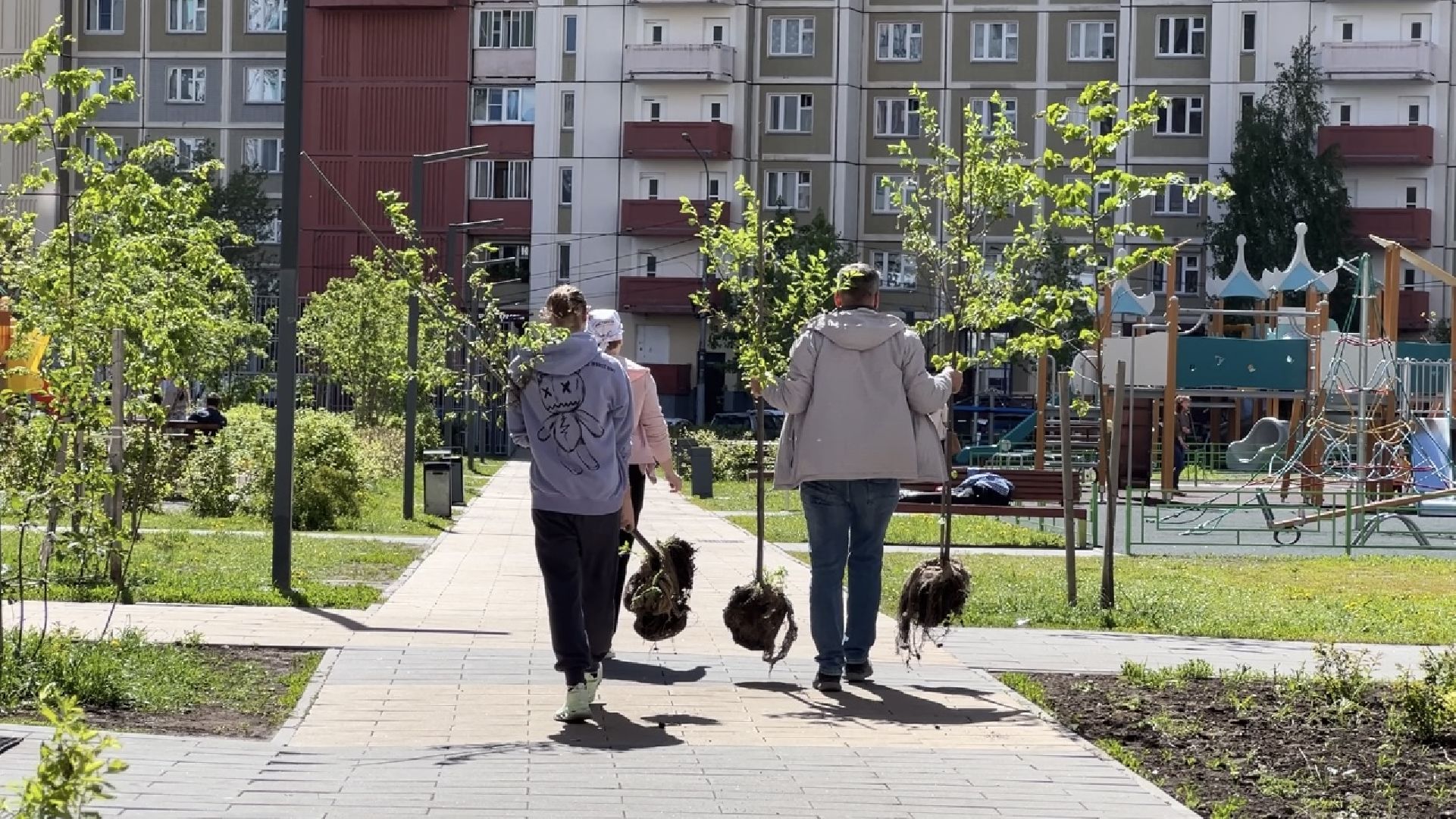 химки, благоустройство, лес будущего, высадка деревьев,