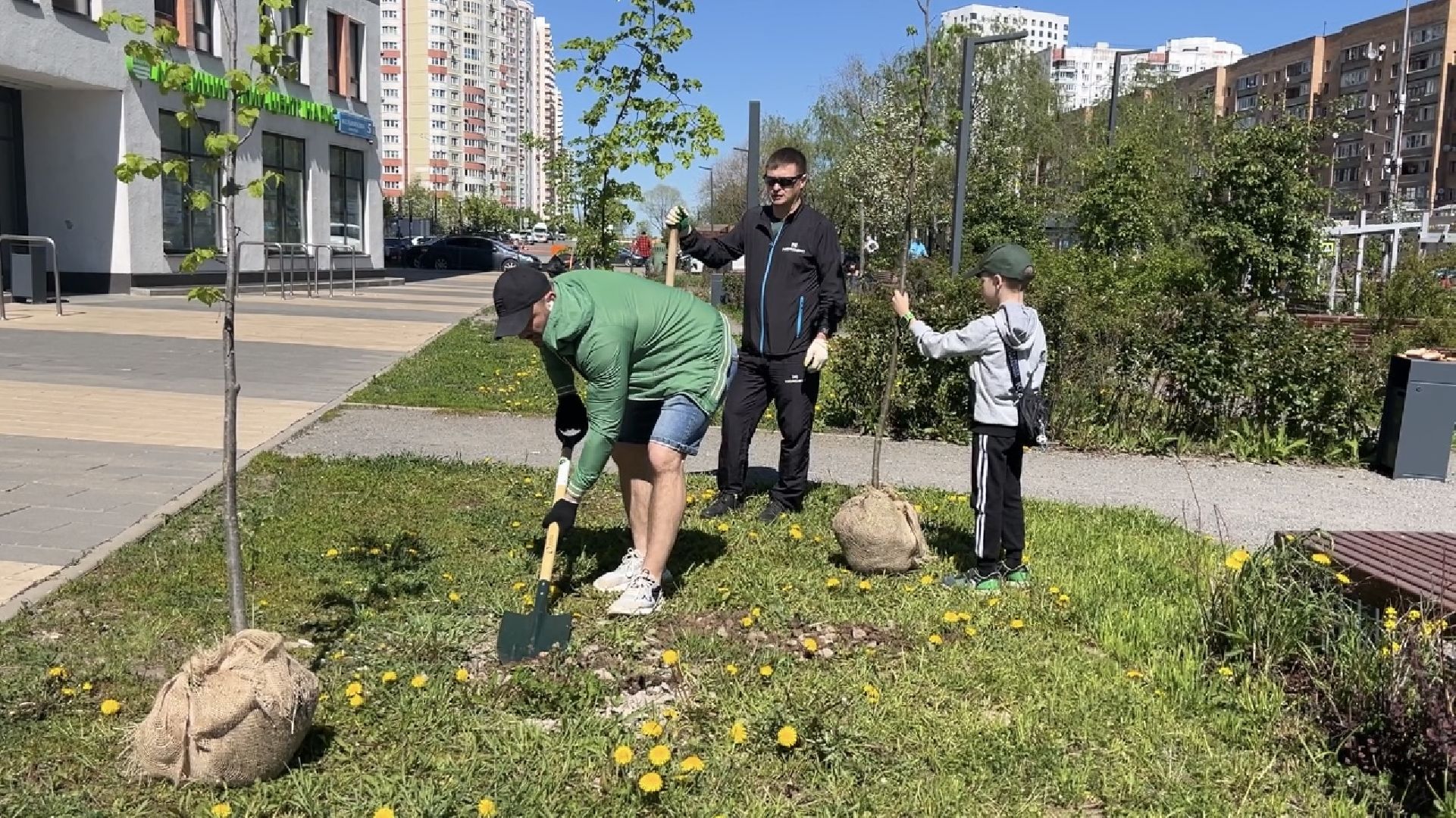 химки, благоустройство, лес будущего, высадка деревьев,