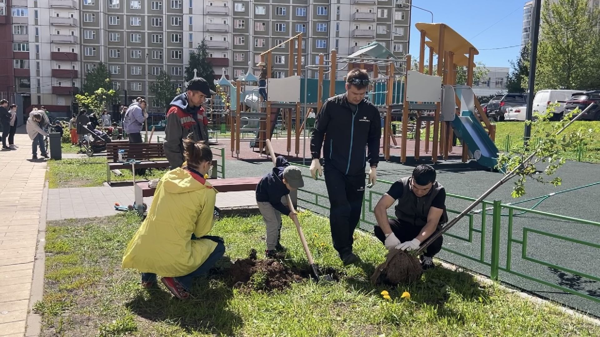химки, благоустройство, лес будущего, высадка деревьев,