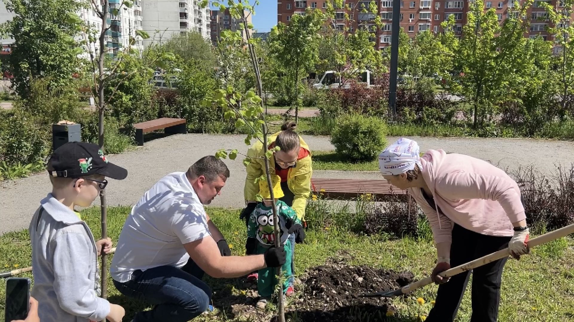 химки, благоустройство, лес будущего, высадка деревьев,