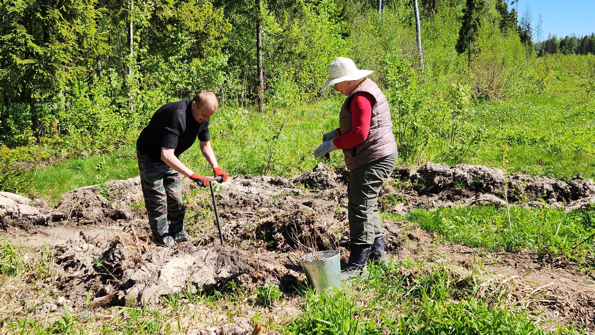 Солнечногорск, экология, лес будущего, комлесхоз,
