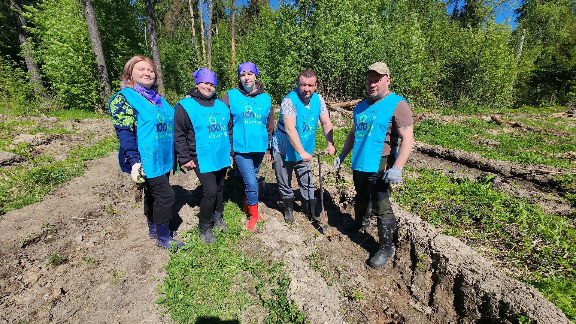Солнечногорск, экология, лес будущего, комлесхоз,