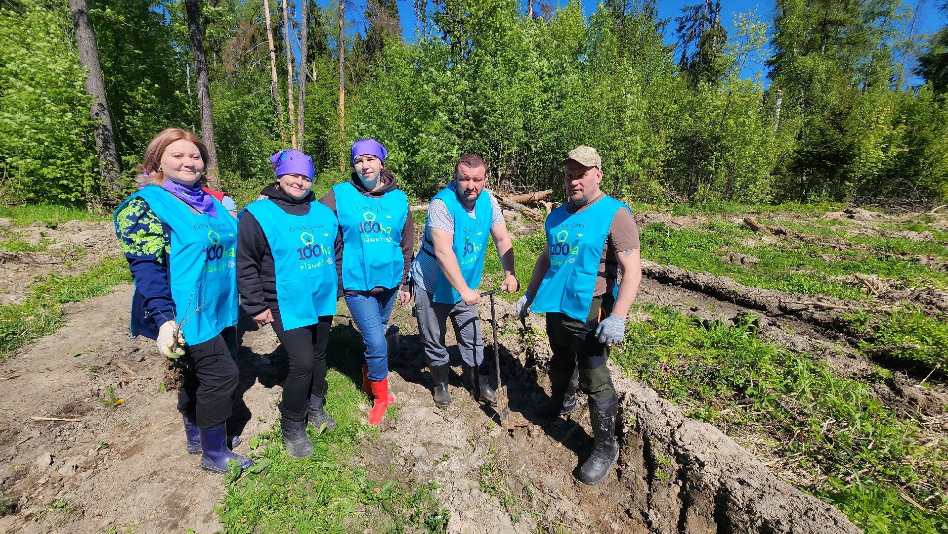 Солнечногорск, экология, лес будущего, комлесхоз,