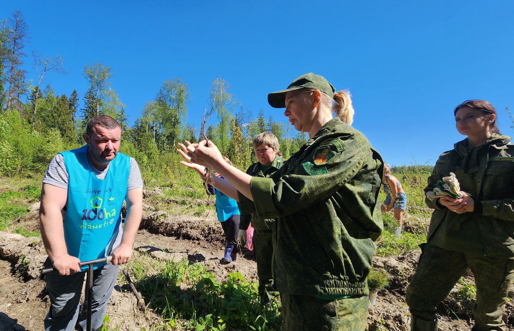 Солнечногорск, экология, лес будущего, комлесхоз,