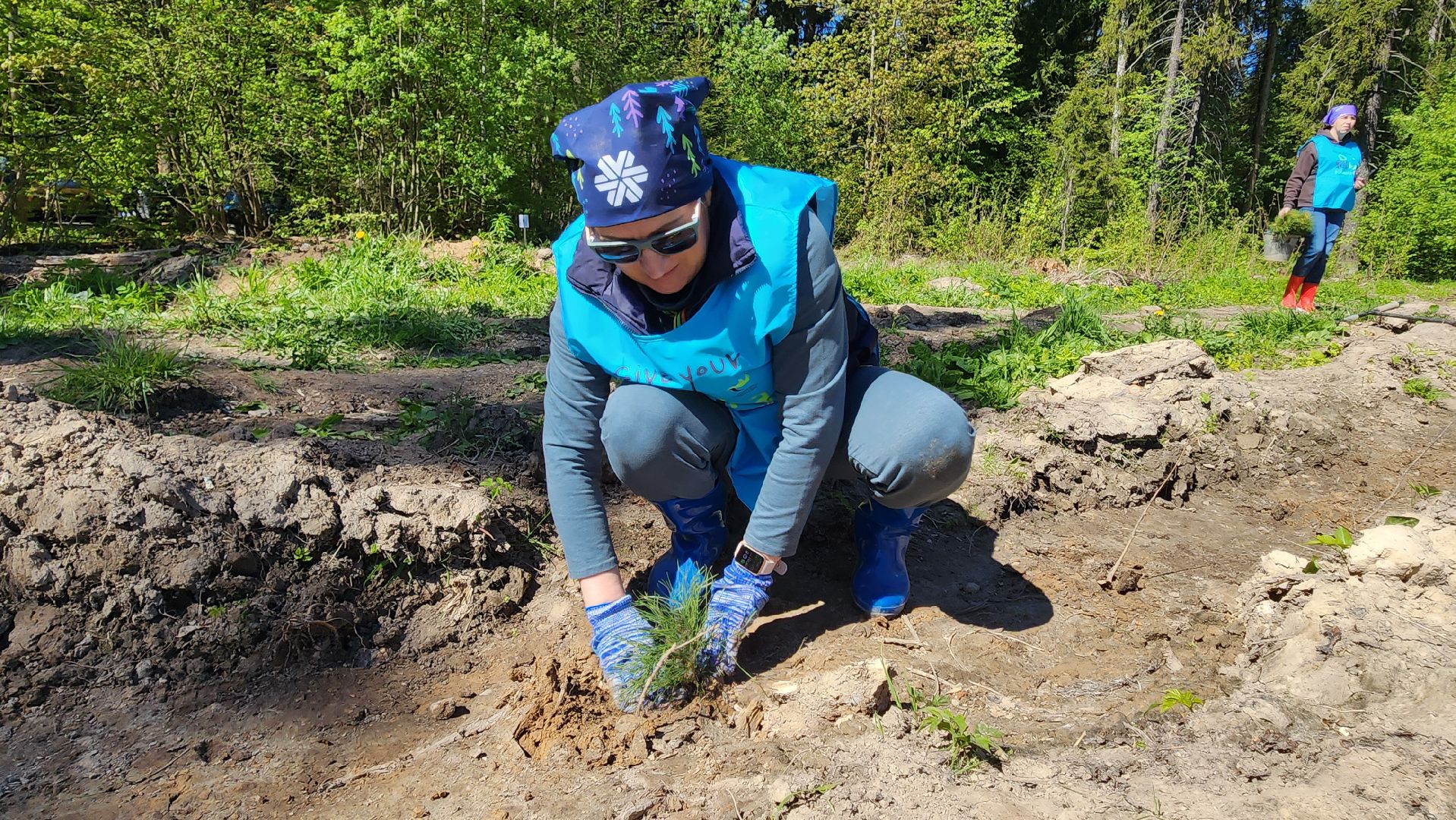 Солнечногорск, экология, лес будущего, комлесхоз,