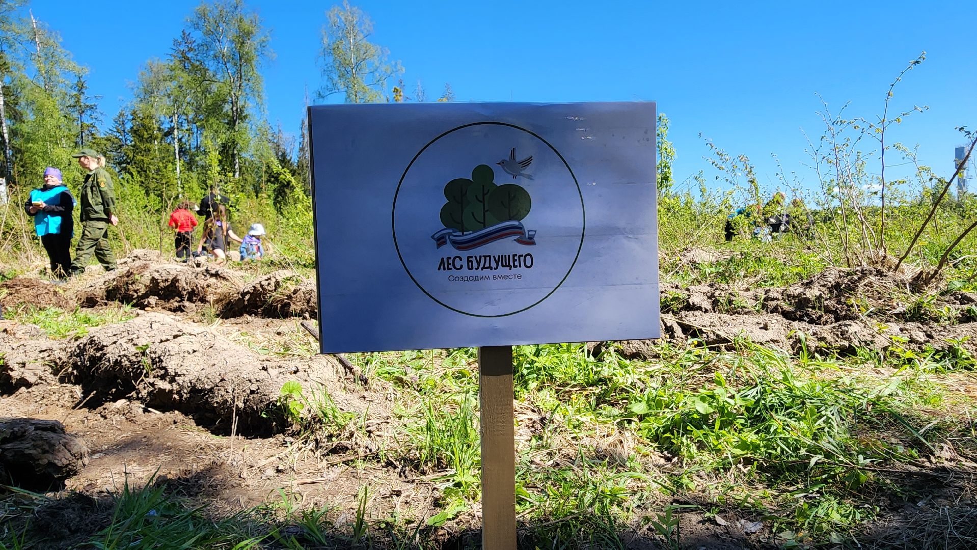 Солнечногорск, экология, лес будущего, комлесхоз,