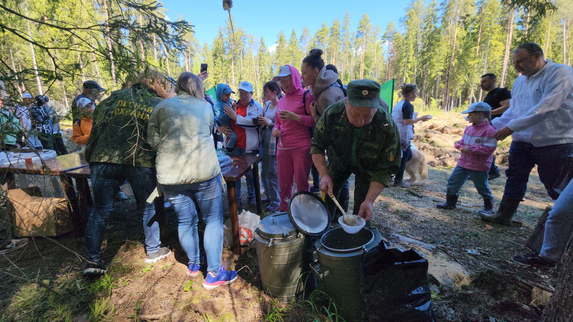 егорьевск, леоново, лес, сосны, посадка, лес будущего, саженцы,
